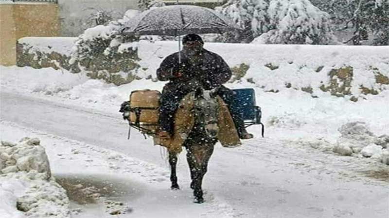 العاصفة "نورما" تشل لبنان من شماله الى جنوبه