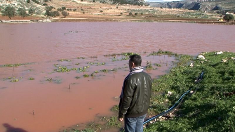 بالفيديو .. محاصيل زراعية طمرتها سيول العاصفة الاخيرة! من للمزارعين؟