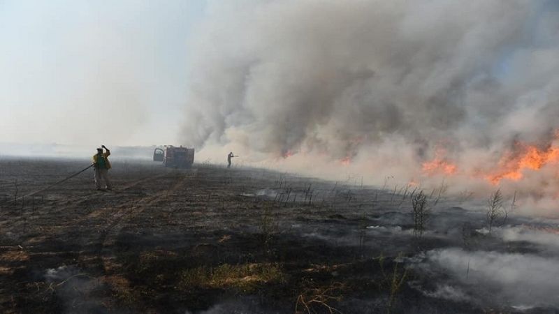 بالصور... الحرائق المندلعة الآن في غلاف غزة بفعل بالونات حارقة