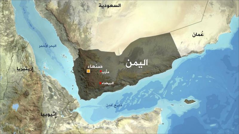 هكذا تحاول دول العدوان إدخال فيروس كورونا إلى اليمن