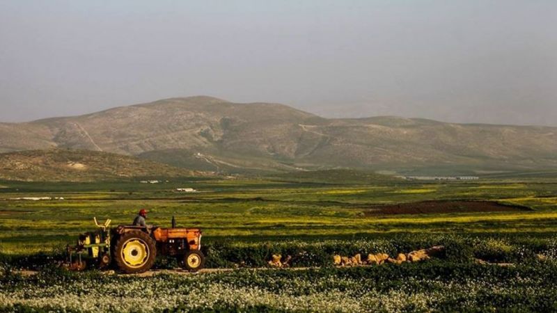 مشروع الضم.. خطر الاحتلال على أكثر من 50 ألف دونم من الأراضي الزراعية بالأغوار