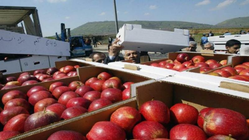 فواكه وخضار لبنان تَتلف على معبر ناصيب-جابر.. من المسؤول؟