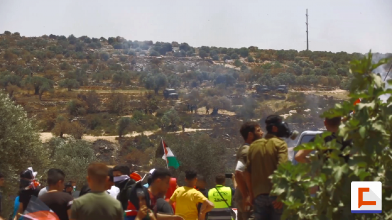 جبل صبيح.. شامخ بدماء الفلسطينيين أمام التمدد الاستيطاني