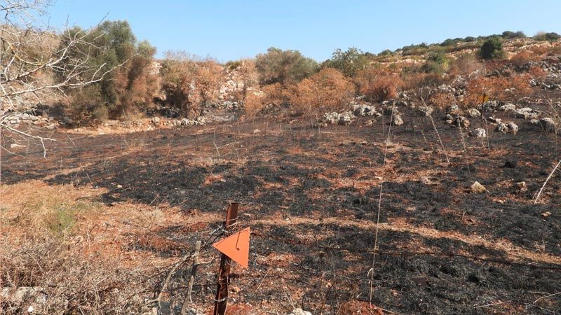 العدو يرهب 3 مزارعين في ميس الجبل