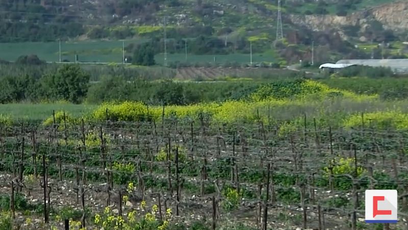 بيسان من أقدم المدن الفلسطينية تعرّفوا اليها