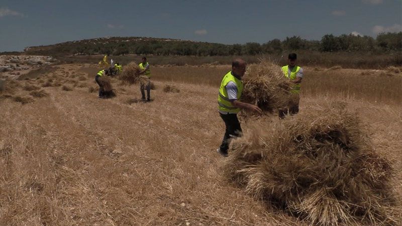 لجنة التنمية الزراعية لحزب الله في منطقة صيدا كثفت من نشاطها في صيدا وبلدات الجوار