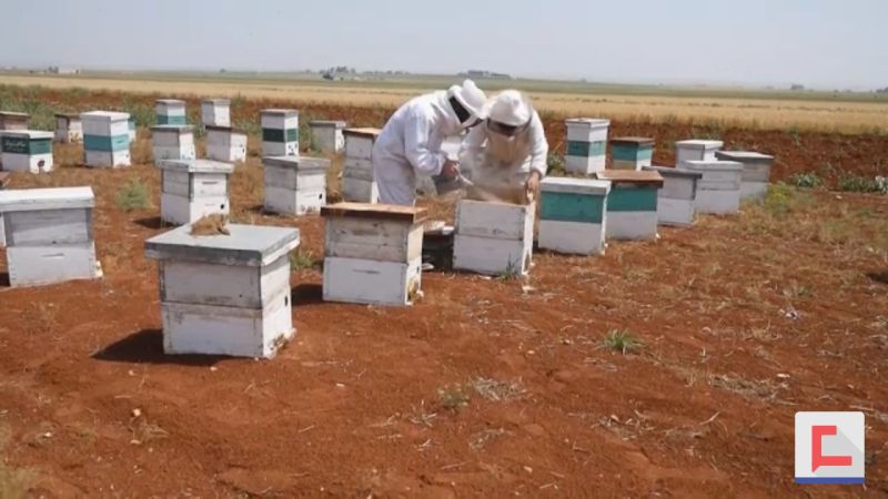 ورشة لنحّالي لبنان في سحمر