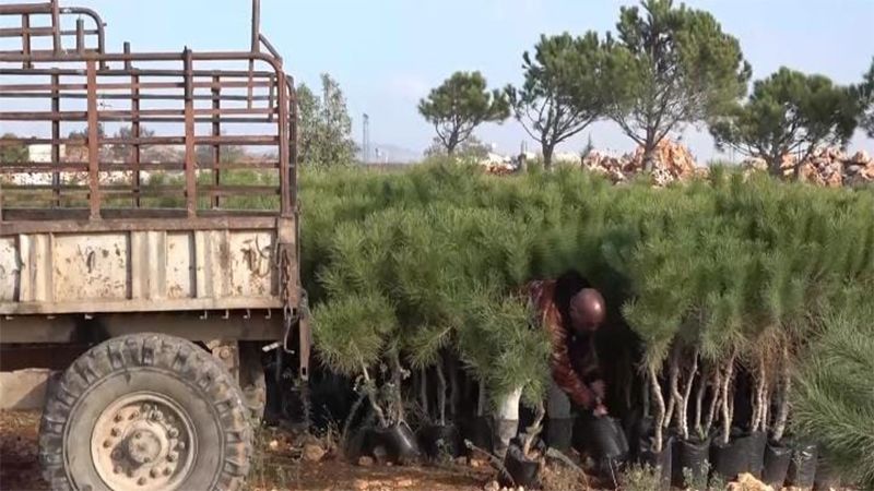 حملة تشجير يطلقها حزب الله في منطقة جبل عامل الثانية&nbsp;