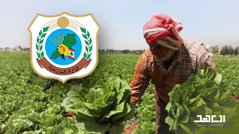 السجل الزراعي.. فرصة المزارع للنهوض