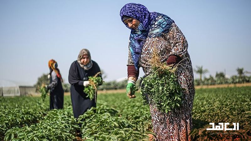 منتجات لبنان الزراعية الى الأسواق العربية والخليجية قريبًا؟