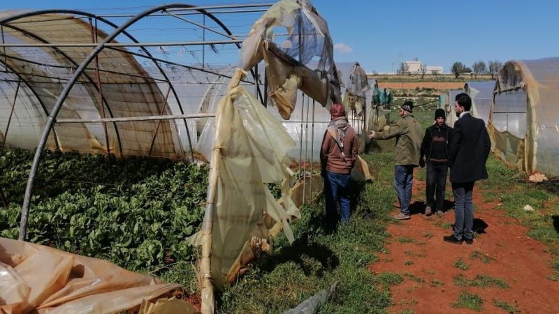 العاصفة الباردة تضرب الموسم الزراعي في البقاع الشمالي