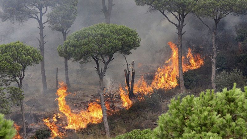 حرائق في أحراج الدبية وبعاصير في إقليم الخروب وجهود لإخمادها