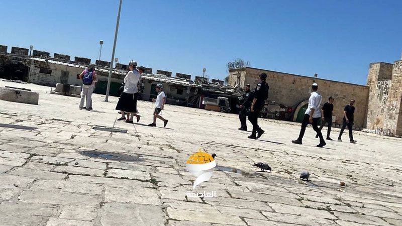 فلسطين المحتلة: مستوطنون صهاينة يقتحمون المسجد الأقصى المبارك