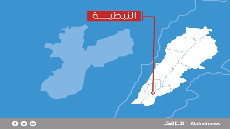 لبنان: محضرا ضبط بحق ملحمة في عربصاليم ومحل حلويات في النبطية