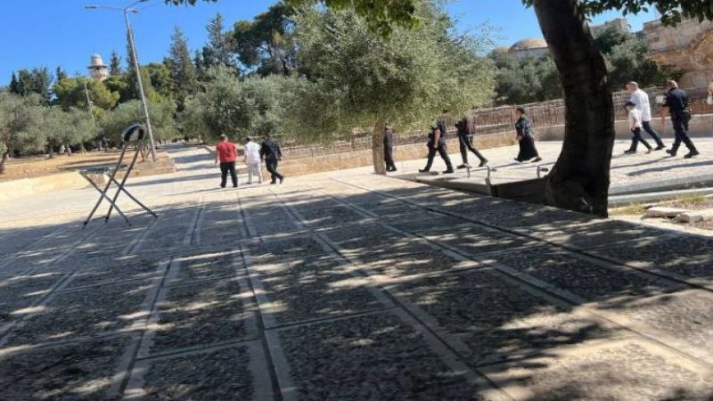 فلسطين المحتلة: مستوطنون يقتحمون ساحات المسجد الأقصى بحماية من شرطة الاحتلال 