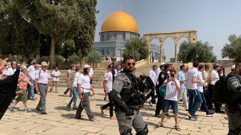 فلسطين| 104 مستوطنين و25 طالبًا يهوديًا و15 شرطيًا صهيونيًا اقتحموا ساحات المسجد الأقصى صباح اليوم