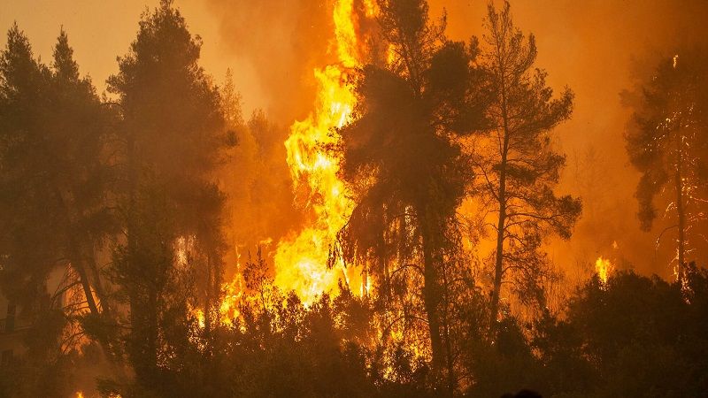 لبنان| مروحية للجيش أخمدت حريق عزيبة الفوقا في خراج مدينة جزين