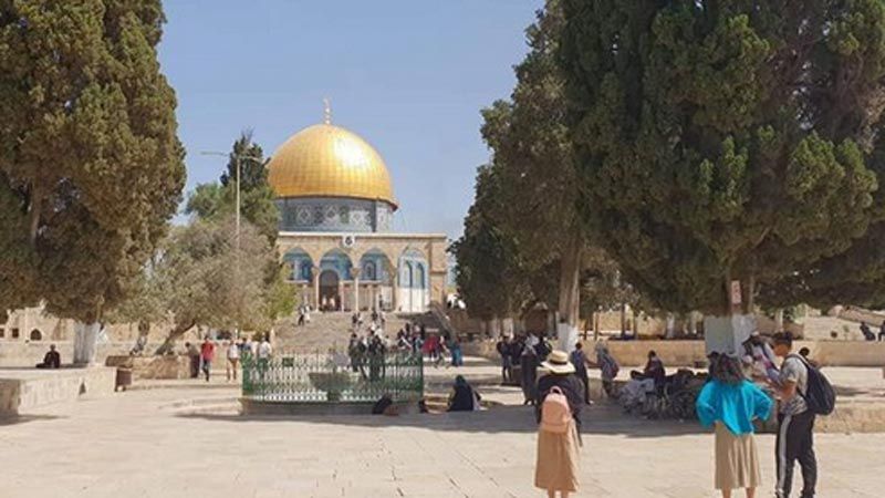 عشرات المستوطنين يقتحمون الأقصى.. والاحتلال يعتقل 11 فلسطينيا بالضفة والقدس