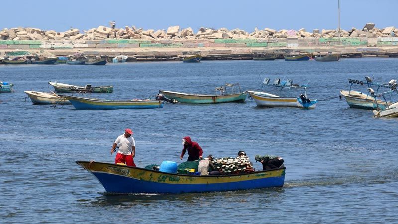 العدو يوسِّع مساحة الصيد في قطاع غزة‎